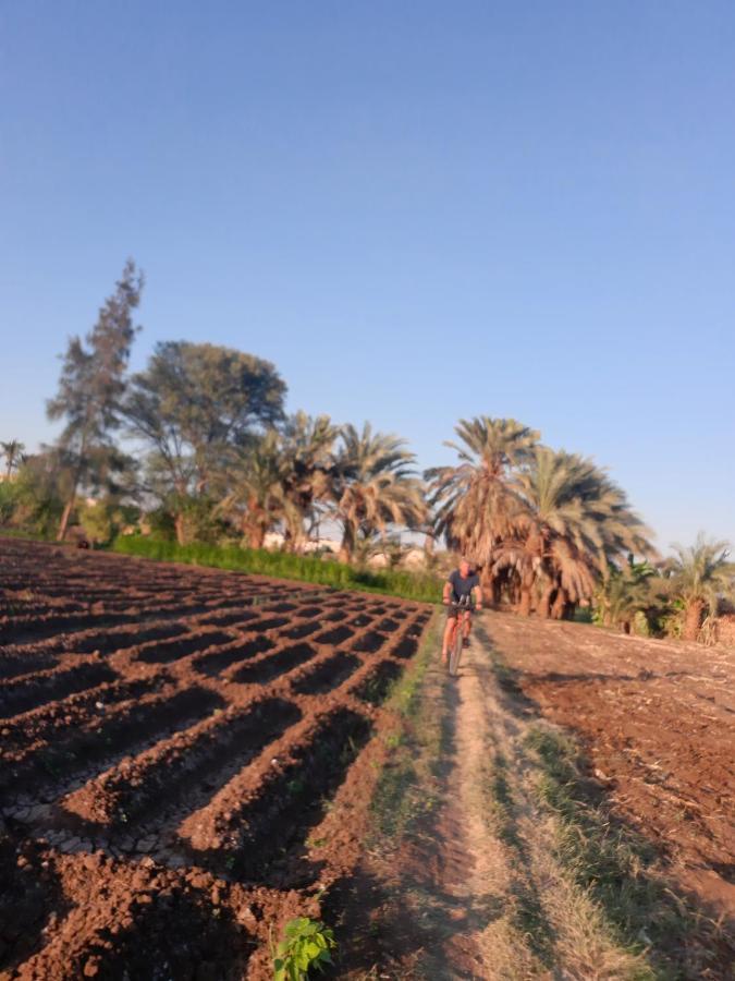 Village Room In The Countryside Al Minya Exteriör bild